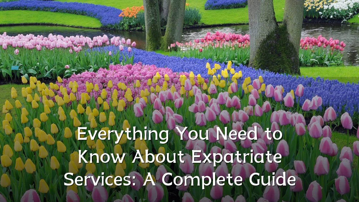 Everything You Need to Know About Expatriate Services: A Complete Guide