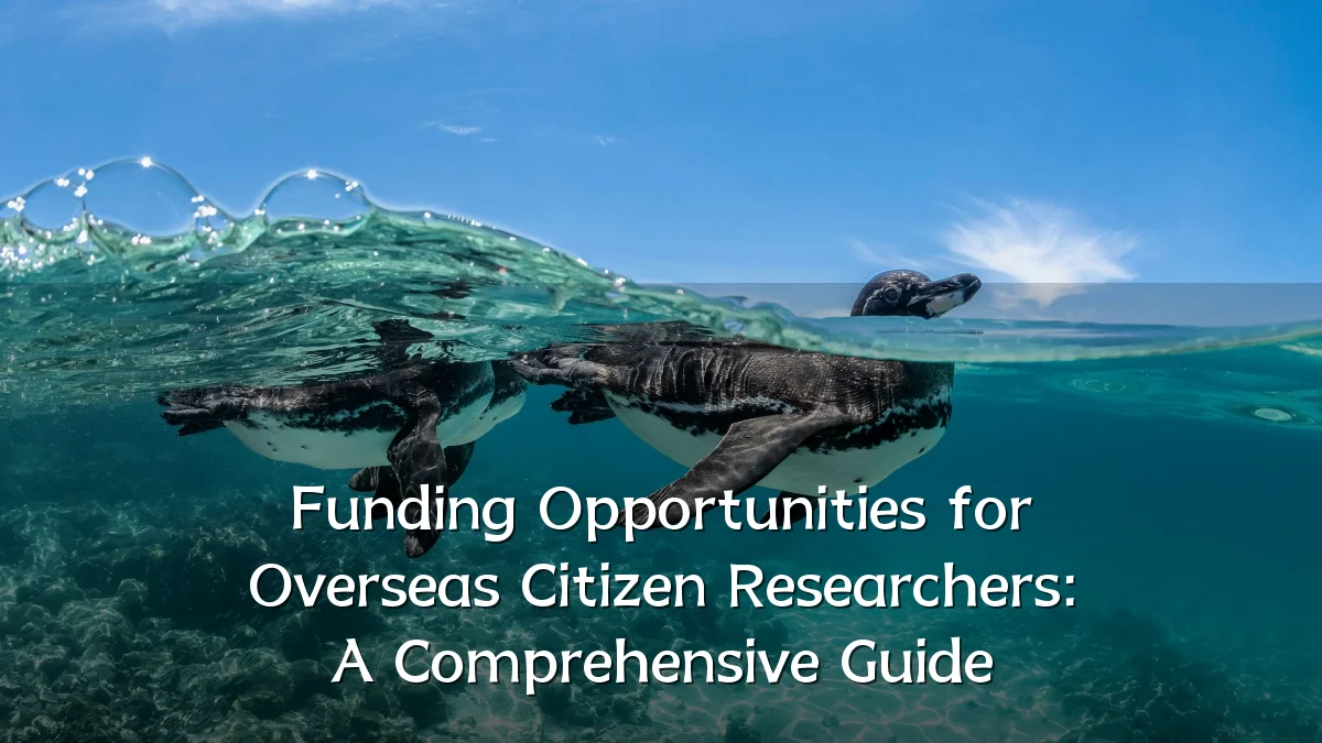 Funding Opportunities for Overseas Citizen Researchers: A Comprehensive Guide