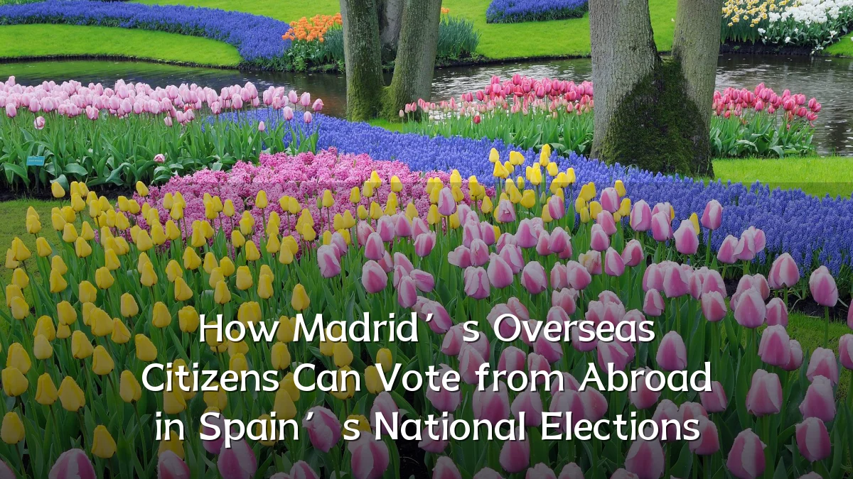 How Madrid’s Overseas Citizens Can Vote from Abroad in Spain’s National Elections
