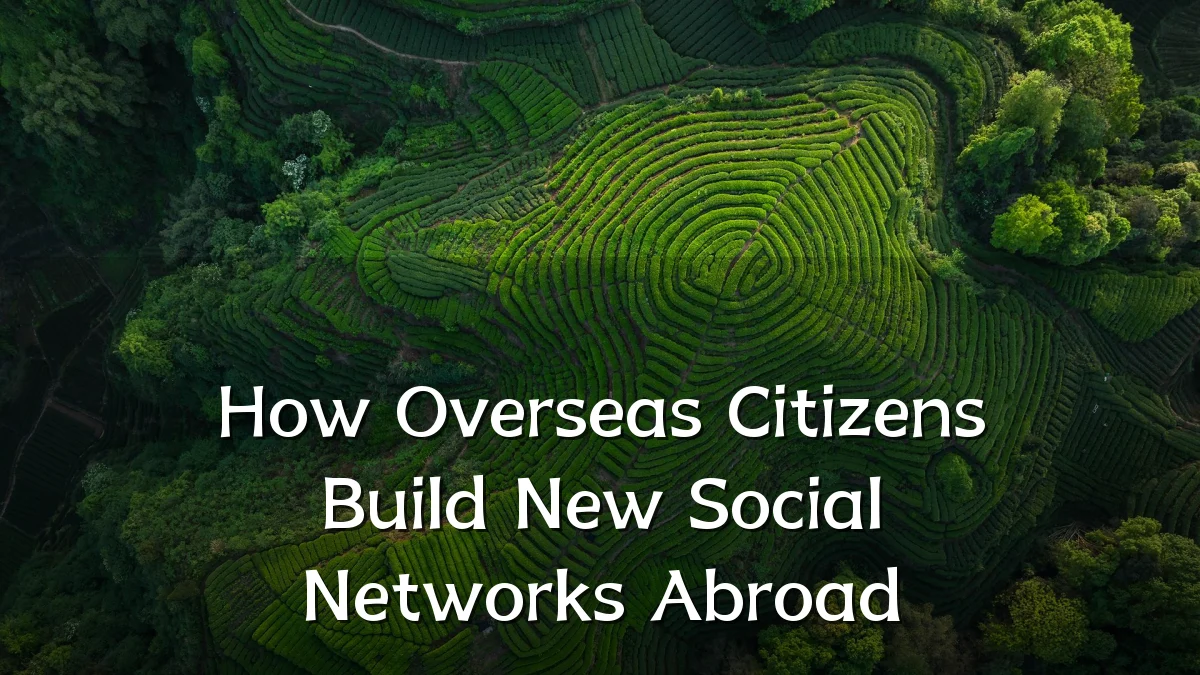 How Overseas Citizens Build New Social Networks Abroad