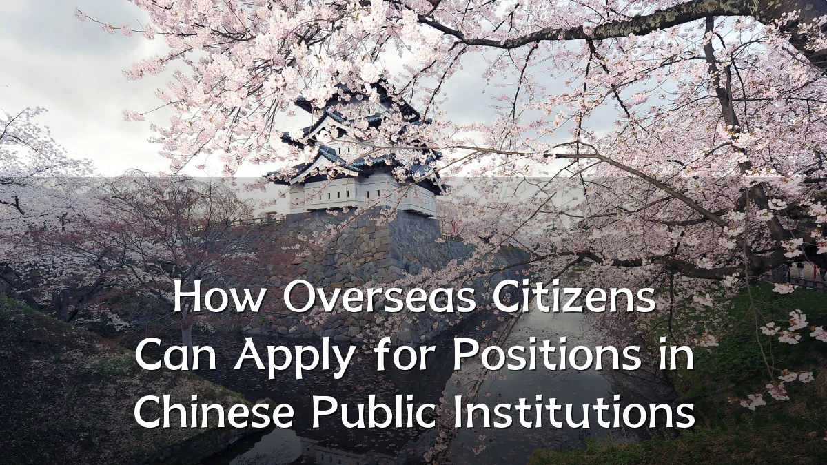 How Overseas Citizens Can Apply for Positions in Chinese Public Institutions