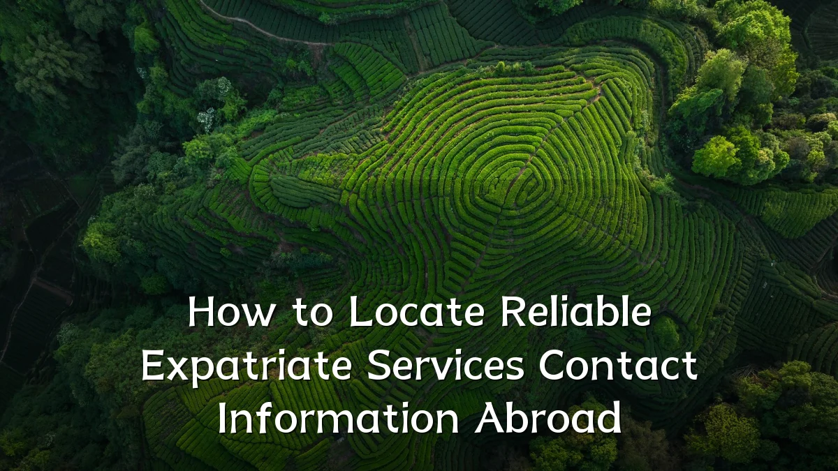 How to Locate Reliable Expatriate Services Contact Information Abroad