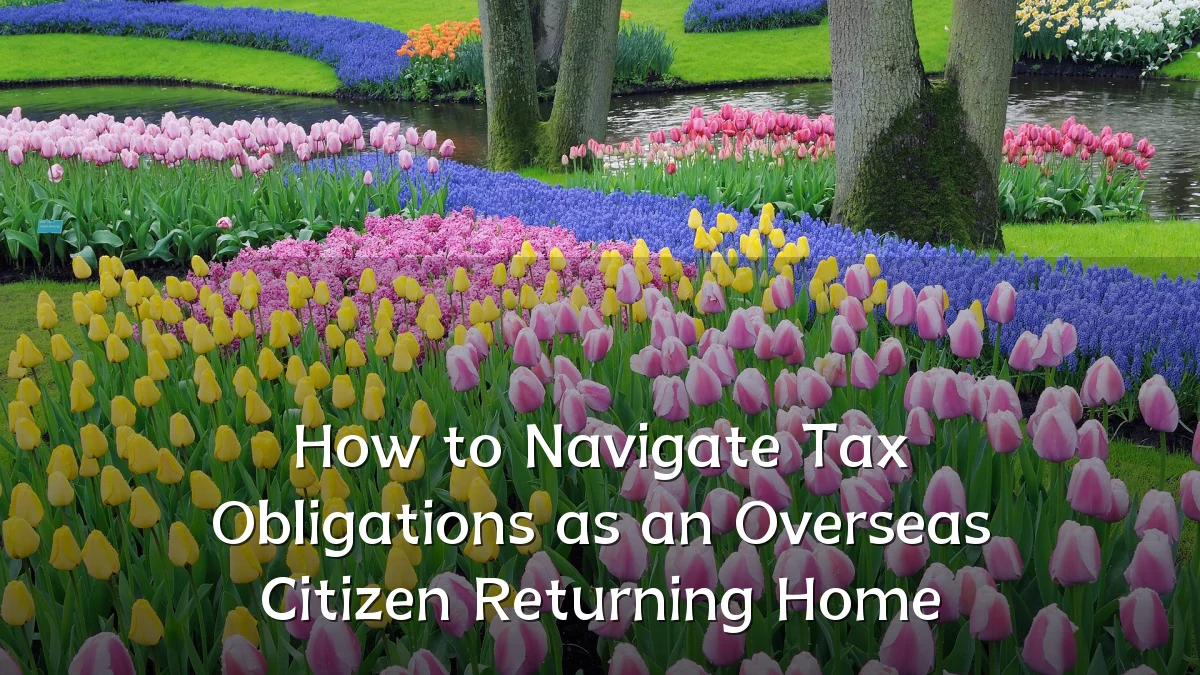 How to Navigate Tax Obligations as an Overseas Citizen Returning Home