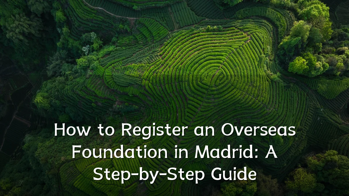 How to Register an Overseas Foundation in Madrid: A Step-by-Step Guide