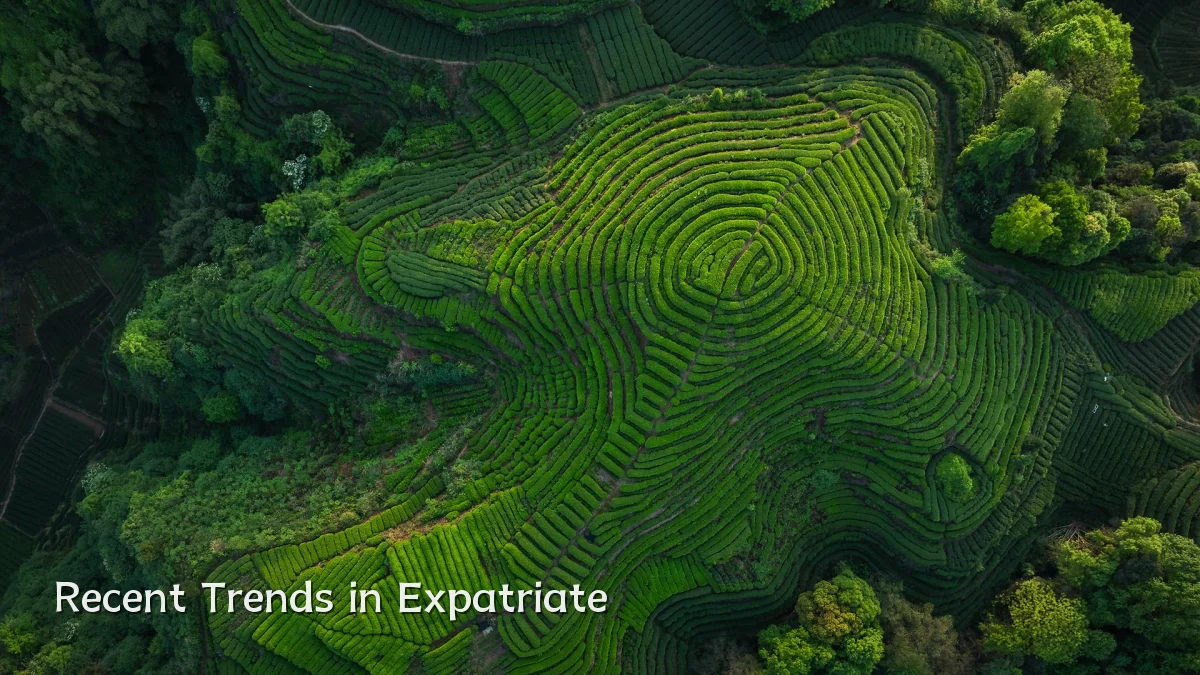 Recent Trends in Expatriate