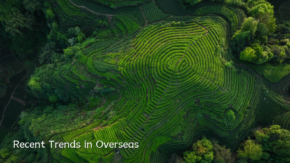 Recent Trends in Overseas