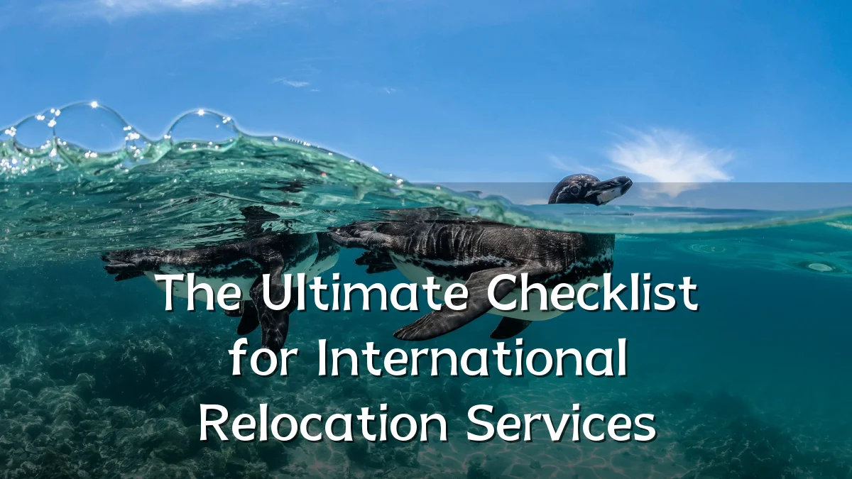 The Ultimate Checklist for International Relocation Services