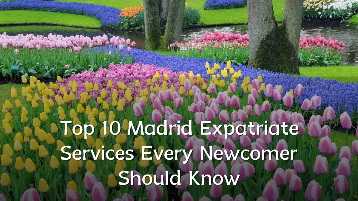 Top 10 Madrid Expatriate Services Every Newcomer Should Know