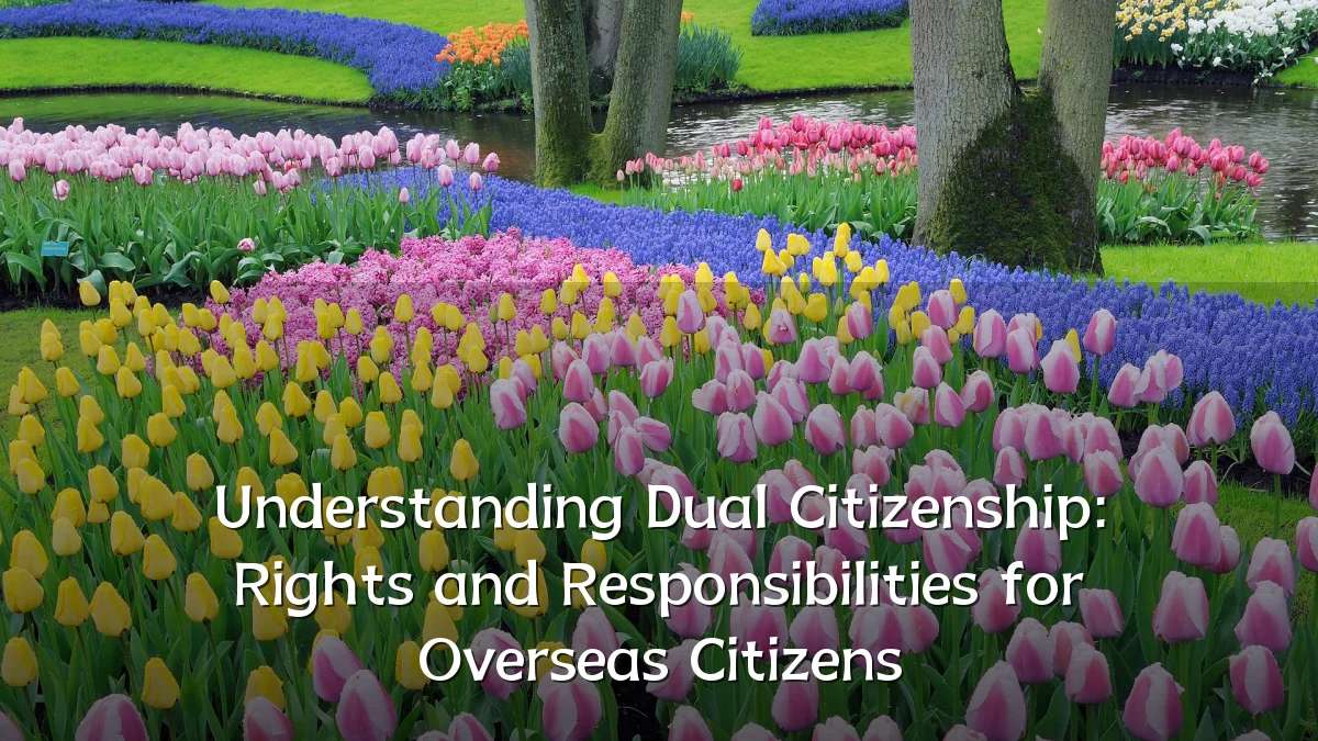Understanding Dual Citizenship: Rights and Responsibilities for Overseas Citizens