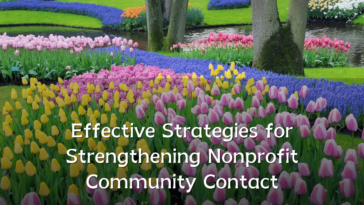 Effective Strategies for Strengthening Nonprofit Community Contact