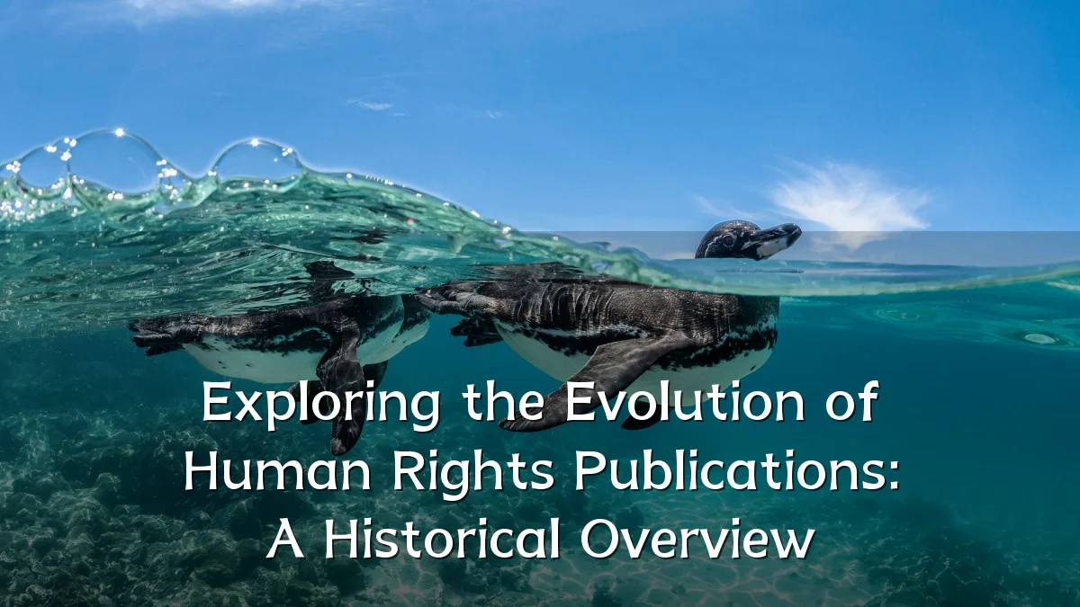 Exploring the Evolution of Human Rights Publications: A Historical Overview