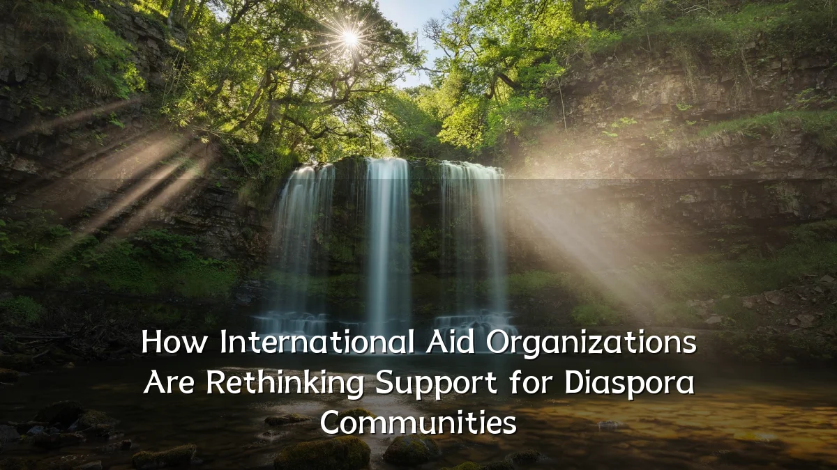 How International Aid Organizations Are Rethinking Support for Diaspora Communities