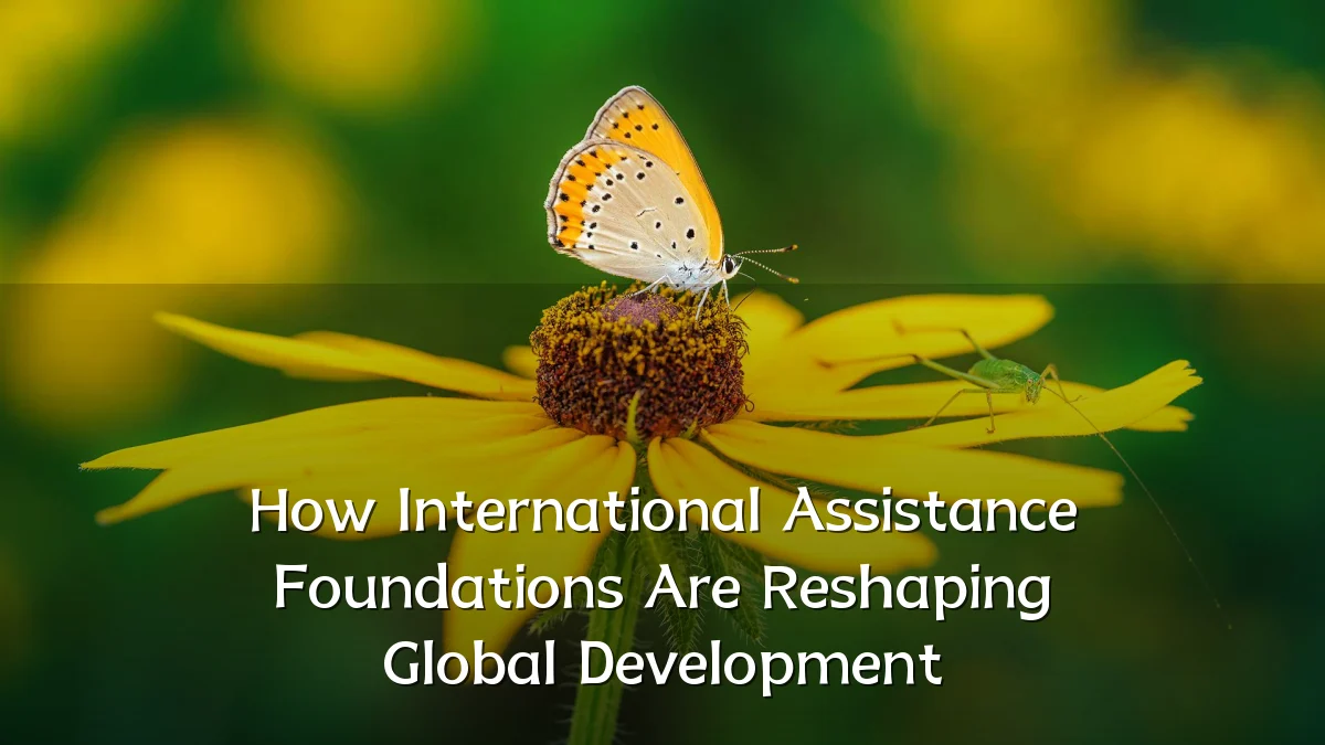 How International Assistance Foundations Are Reshaping Global Development