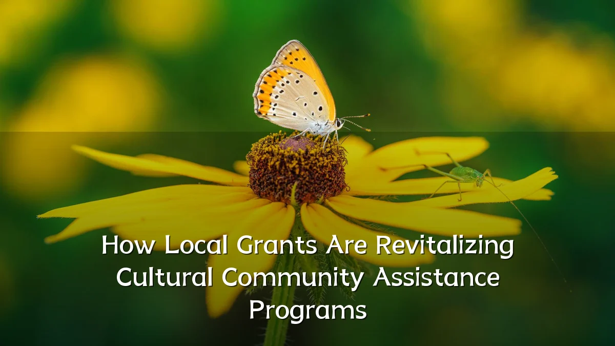 How Local Grants Are Revitalizing Cultural Community Assistance Programs