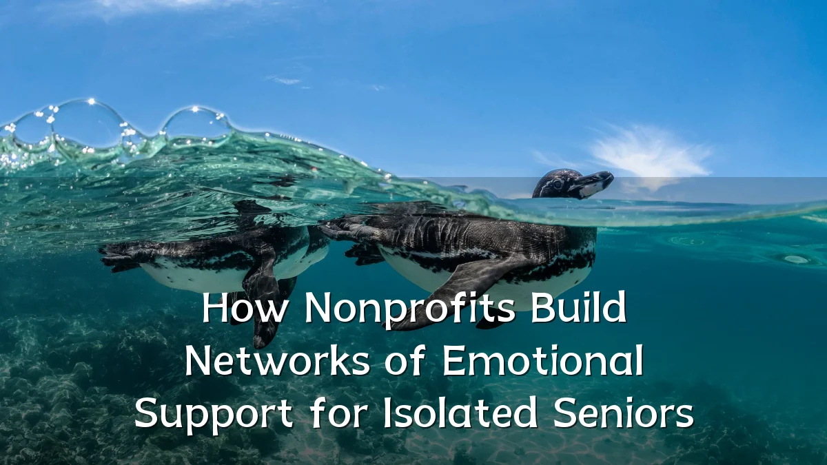 How Nonprofits Build Networks of Emotional Support for Isolated Seniors