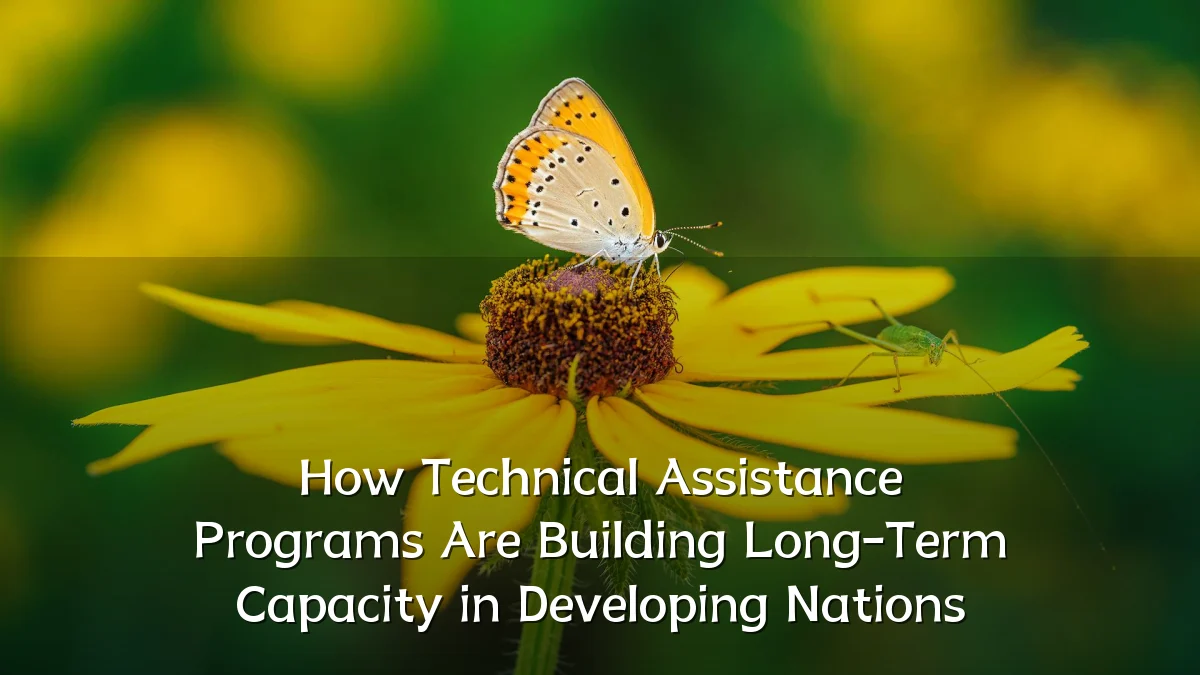 How Technical Assistance Programs Are Building Long-Term Capacity in Developing Nations
