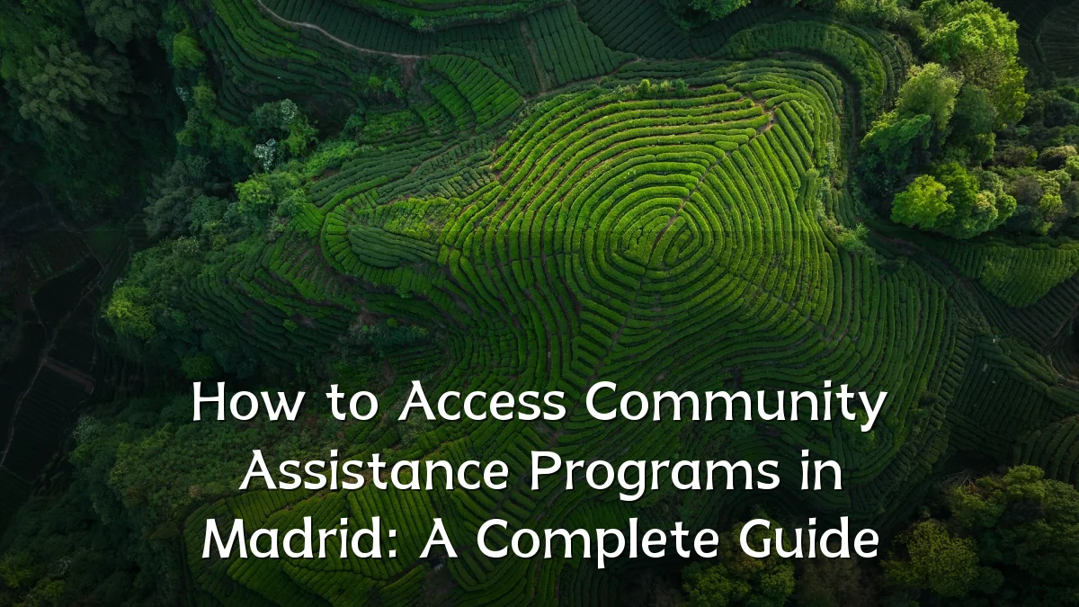 How to Access Community Assistance Programs in Madrid: A Complete Guide