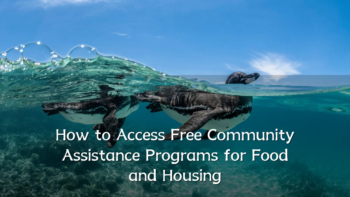 How to Access Free Community Assistance Programs for Food and Housing