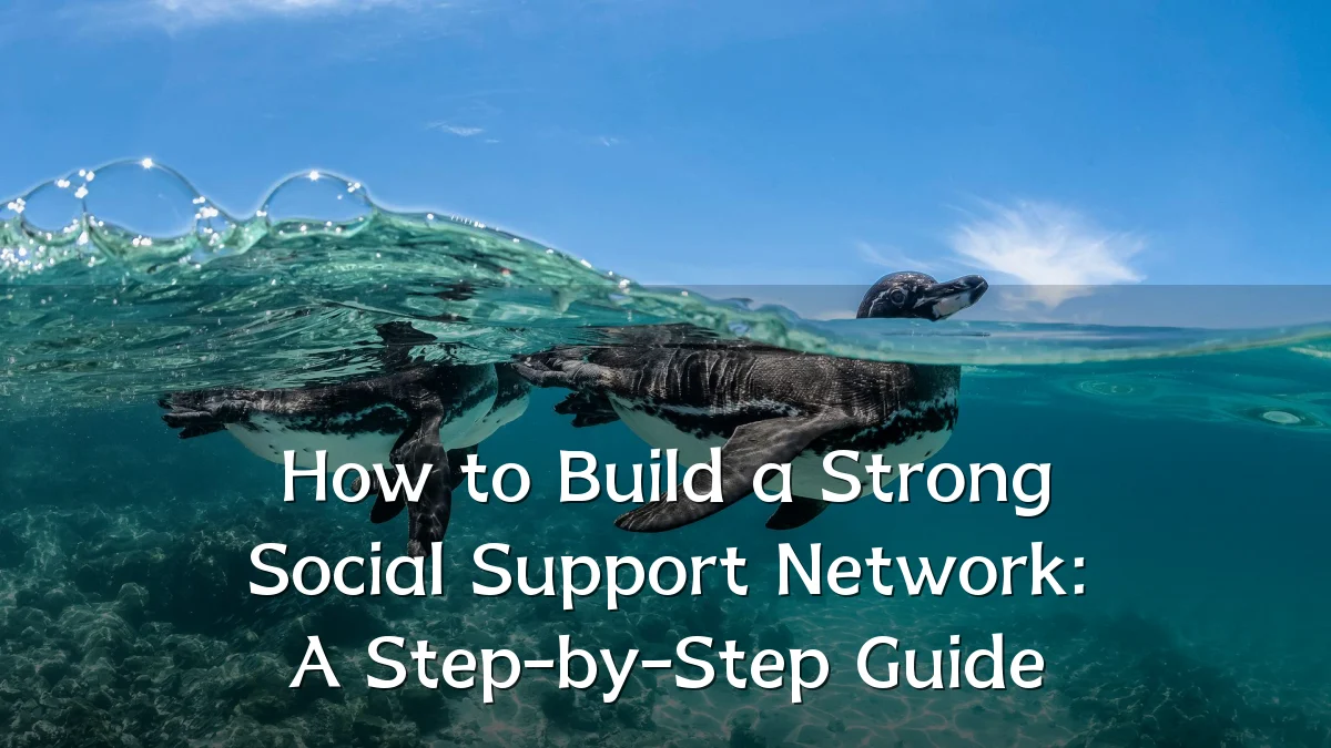 How to Build a Strong Social Support Network: A Step-by-Step Guide