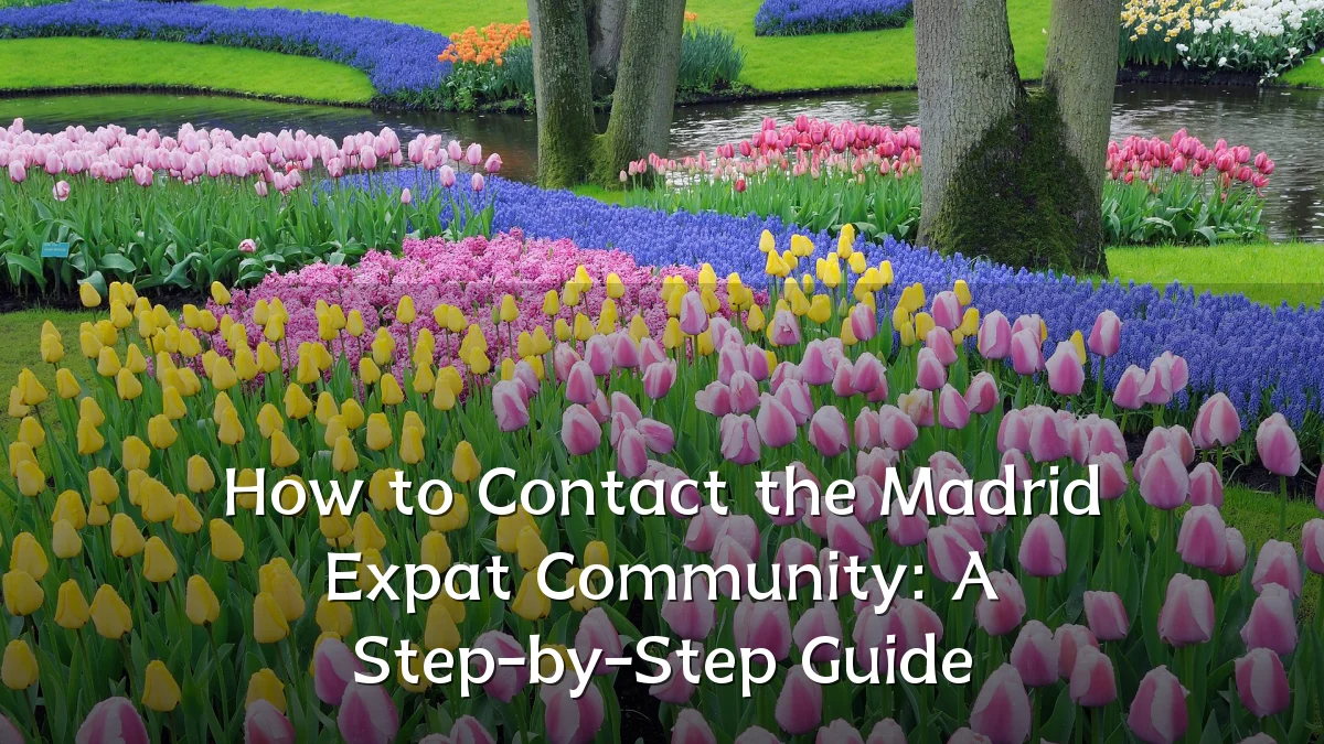 How to Contact the Madrid Expat Community: A Step-by-Step Guide