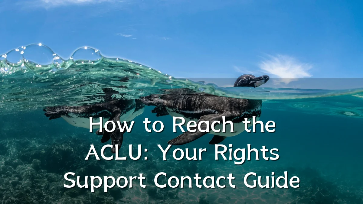 How to Reach the ACLU: Your Rights Support Contact Guide
