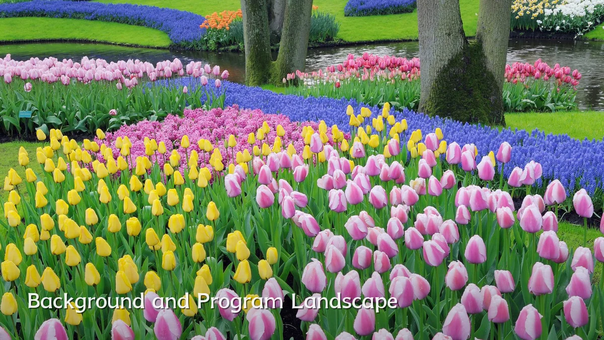 Background and Program Landscape
