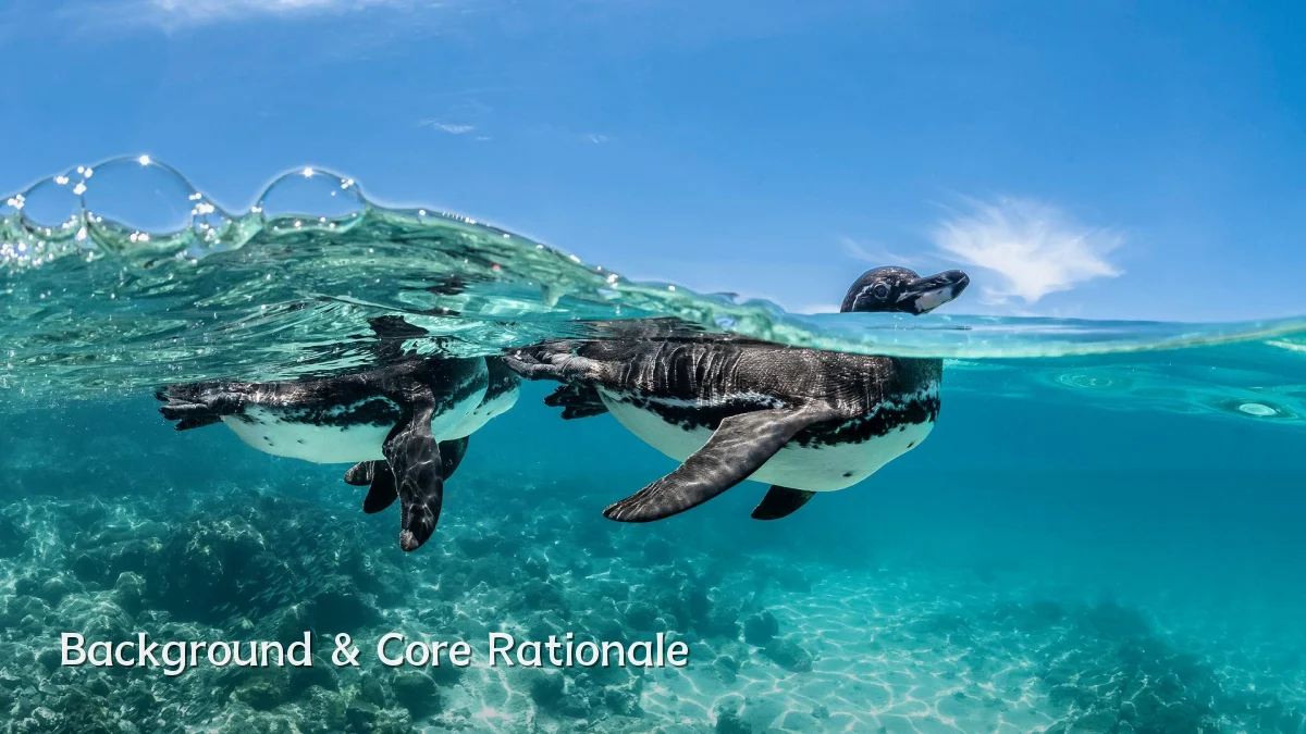 Background & Core Rationale