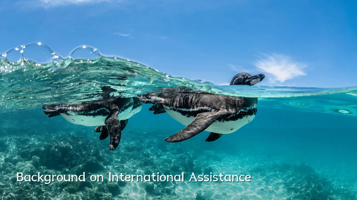 Background on International Assistance