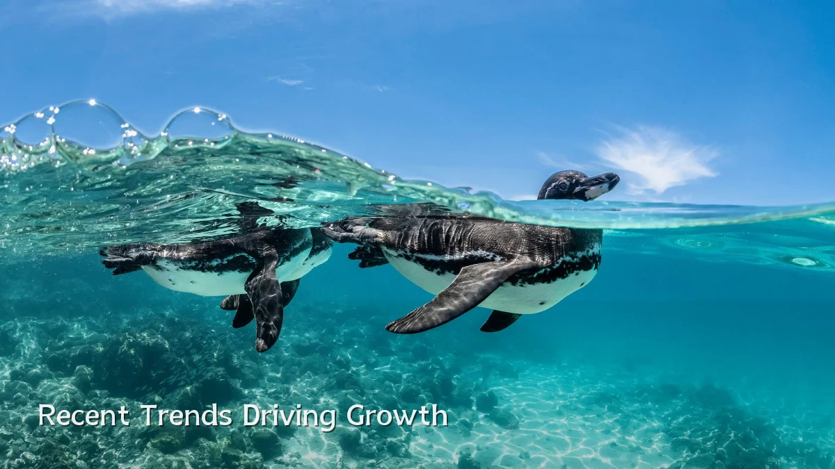 Recent Trends Driving Growth