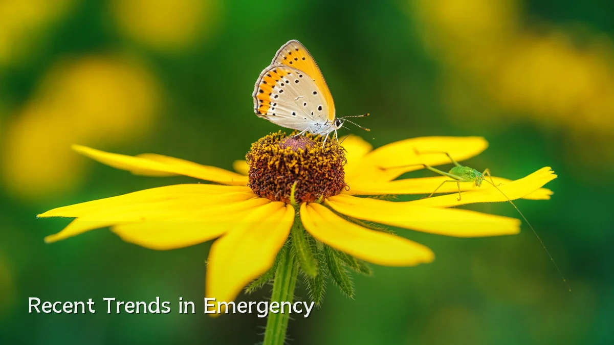 Recent Trends in Emergency