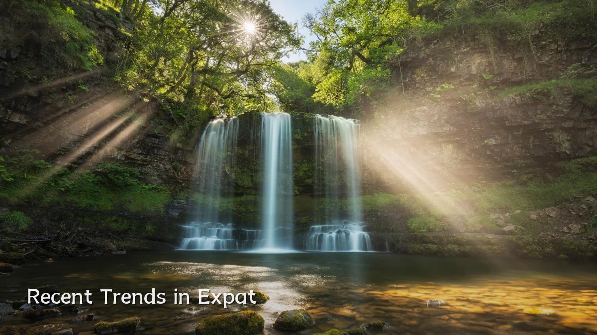 Recent Trends in Expat