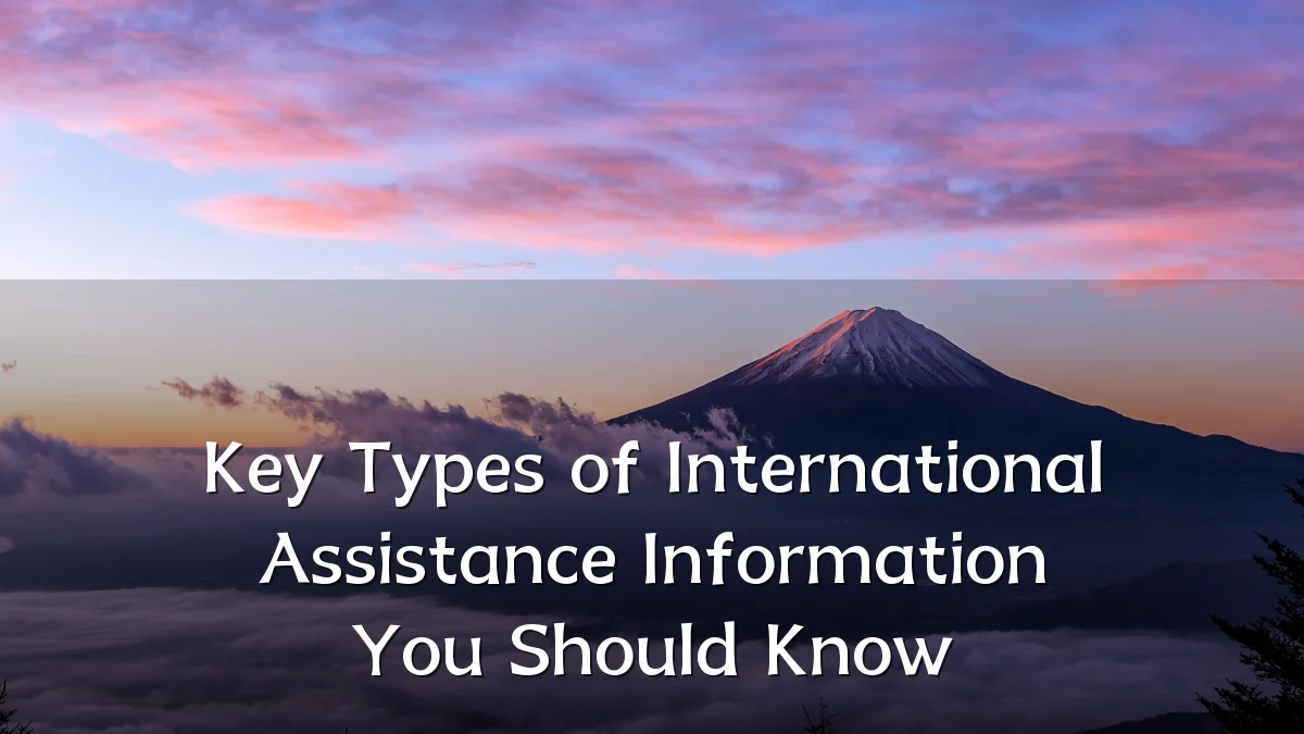 Key Types of International Assistance Information You Should Know