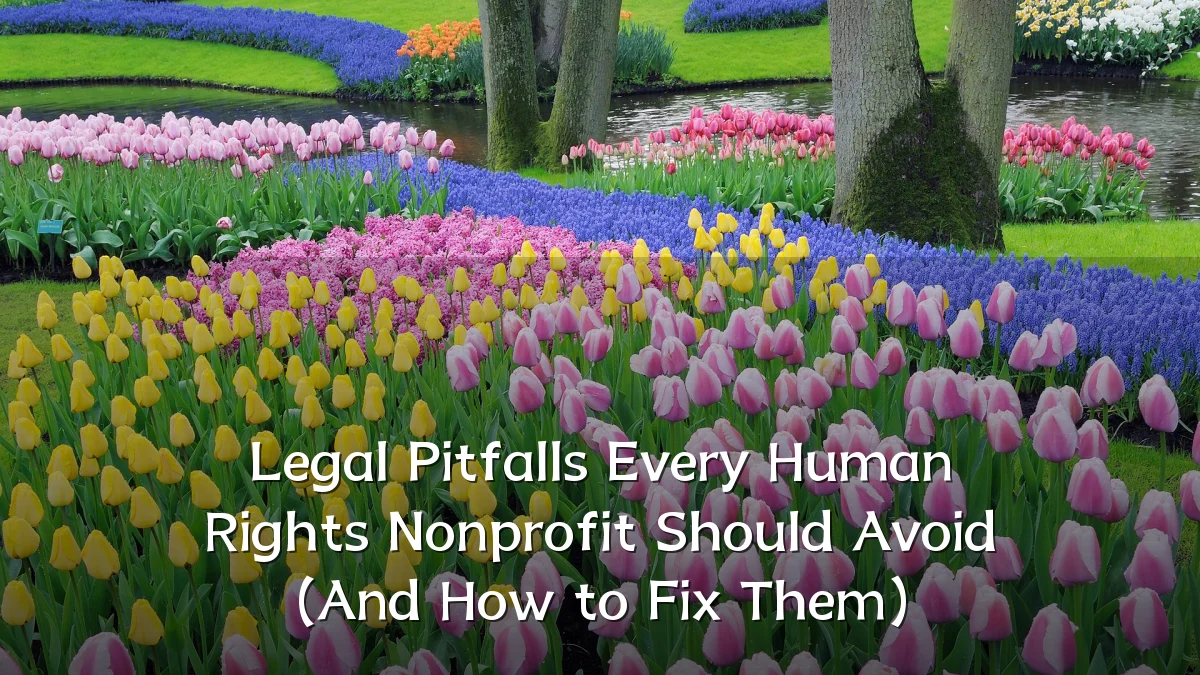Legal Pitfalls Every Human Rights Nonprofit Should Avoid (And How to Fix Them)