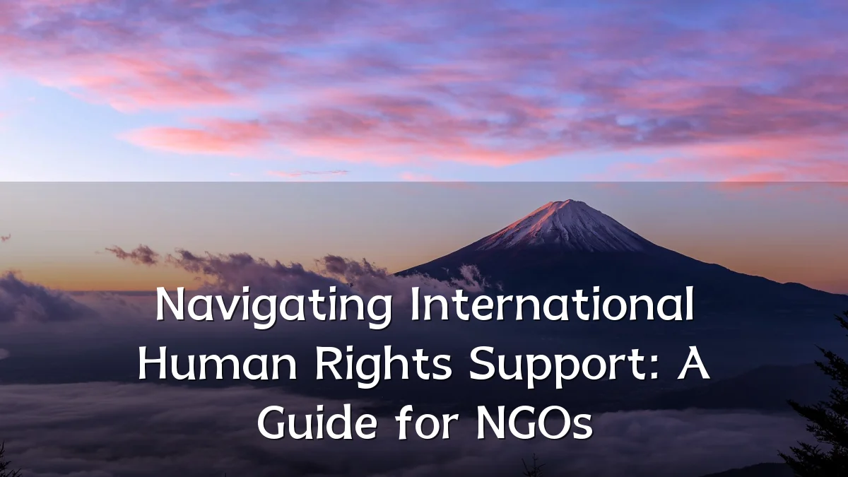 Navigating International Human Rights Support: A Guide for NGOs