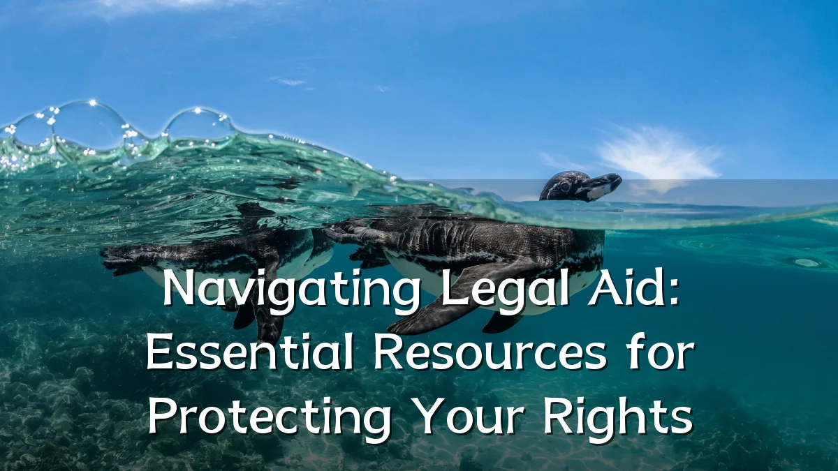 Navigating Legal Aid: Essential Resources for Protecting Your Rights