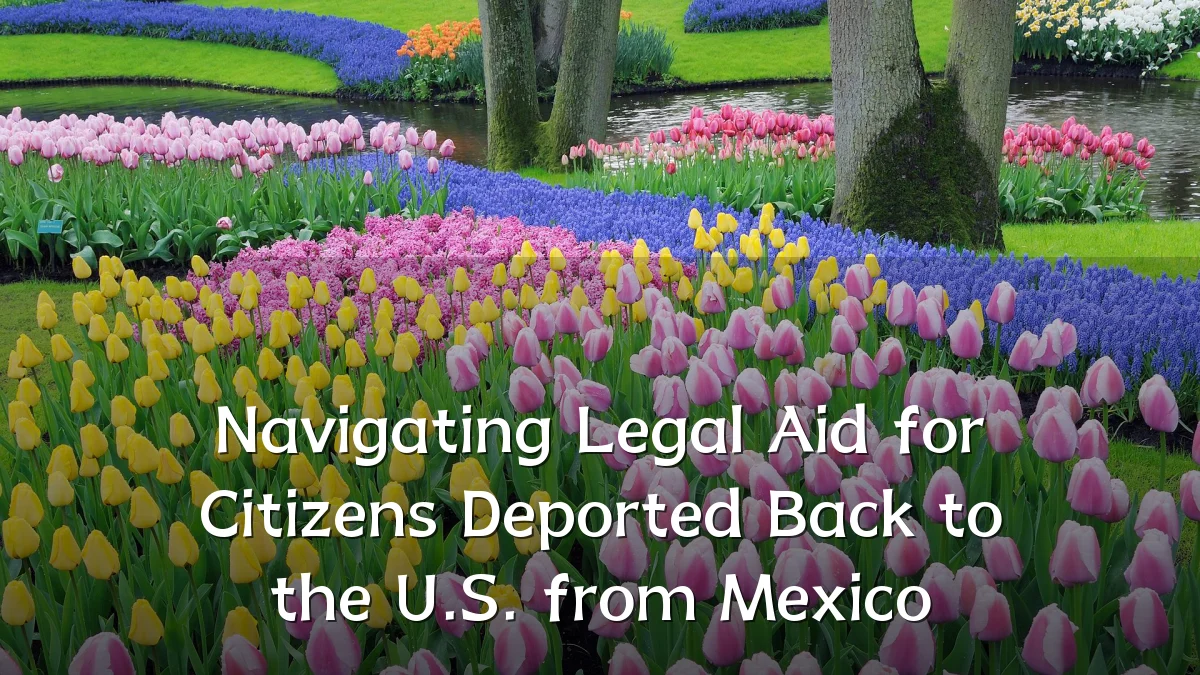 Navigating Legal Aid for Citizens Deported Back to the U.S. from Mexico