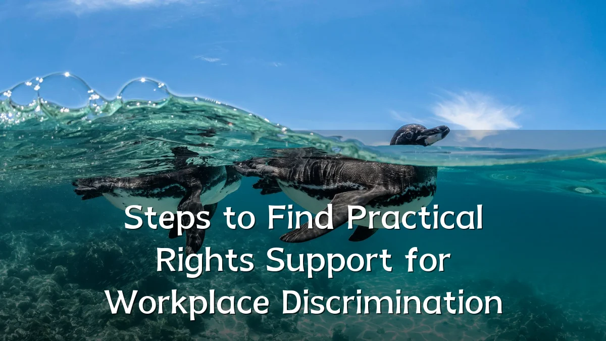 Steps to Find Practical Rights Support for Workplace Discrimination