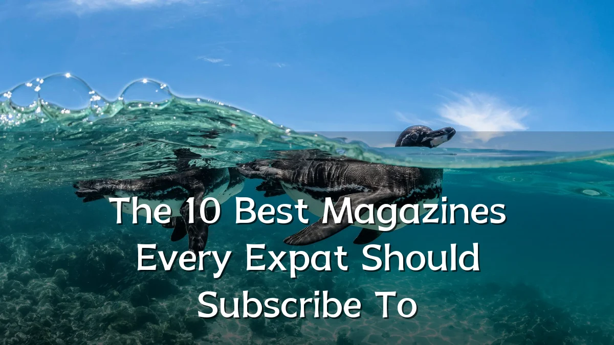 The 10 Best Magazines Every Expat Should Subscribe To