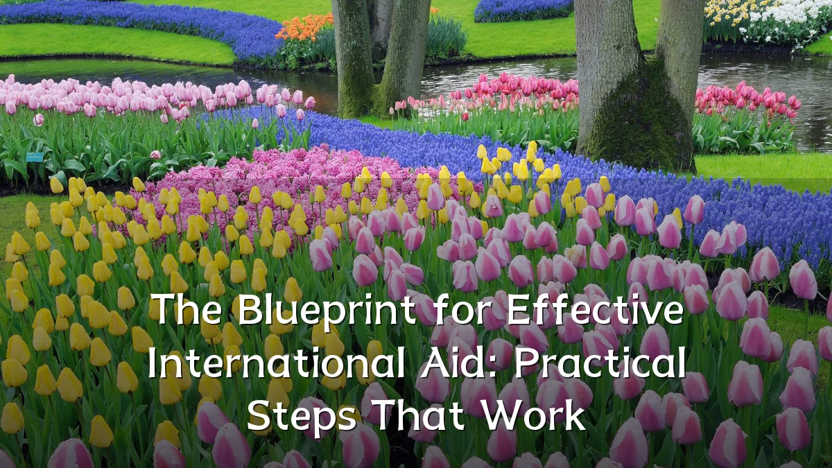 The Blueprint for Effective International Aid: Practical Steps That Work