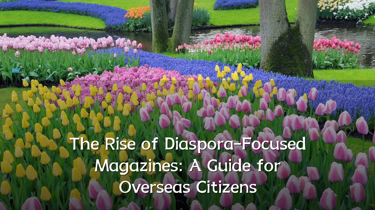The Rise of Diaspora-Focused Magazines: A Guide for Overseas Citizens