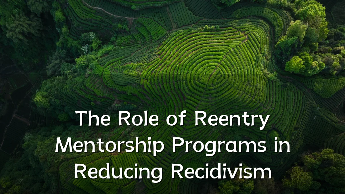 The Role of Reentry Mentorship Programs in Reducing Recidivism