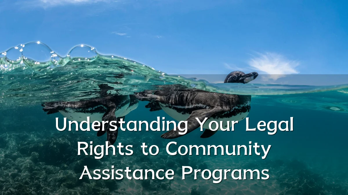 Understanding Your Legal Rights to Community Assistance Programs