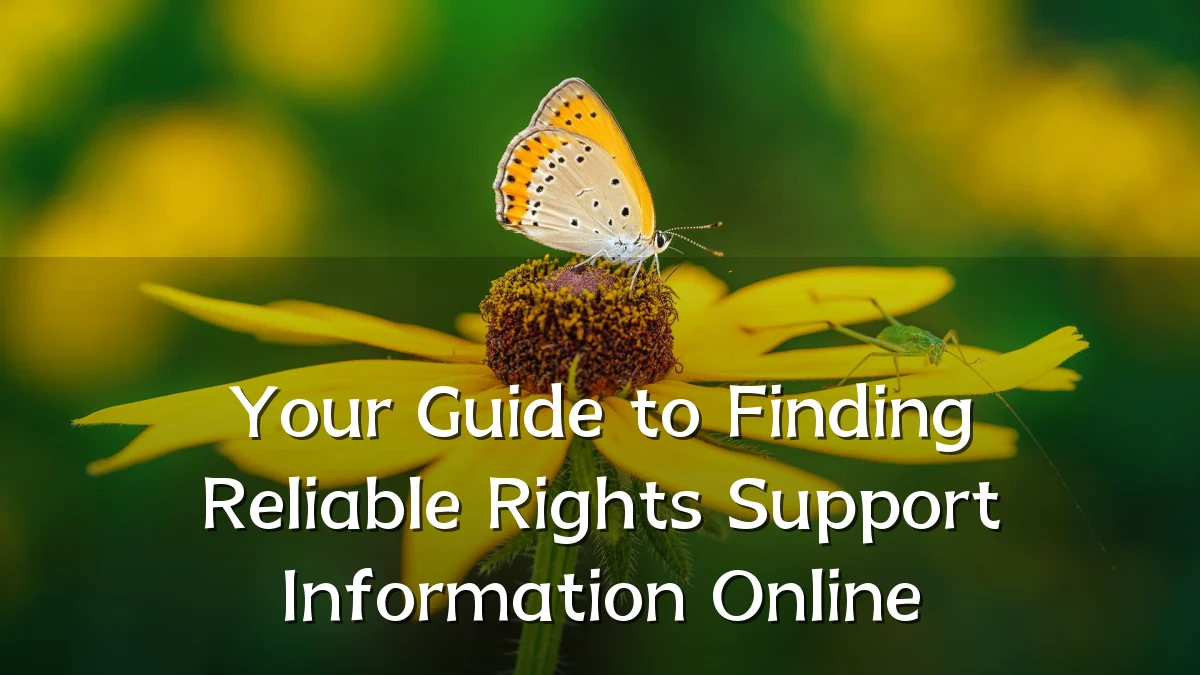 Your Guide to Finding Reliable Rights Support Information Online