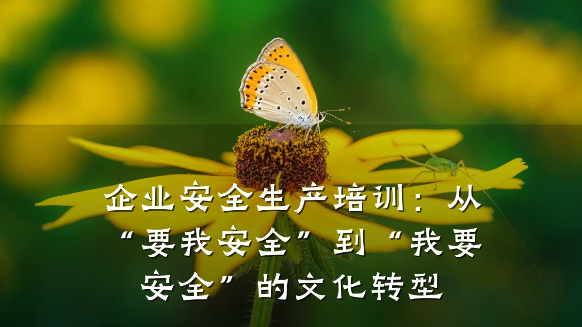 企业安全生产培训:从“要我安全”到“我要安全”的文化转型